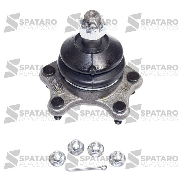 ROTULA SUPERIOR HILUX 4X4 1992-2004 TODAS 4X2 2001-2004 4RUNNER 555 Japon - Imagen 5